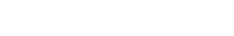 ICONI ERP